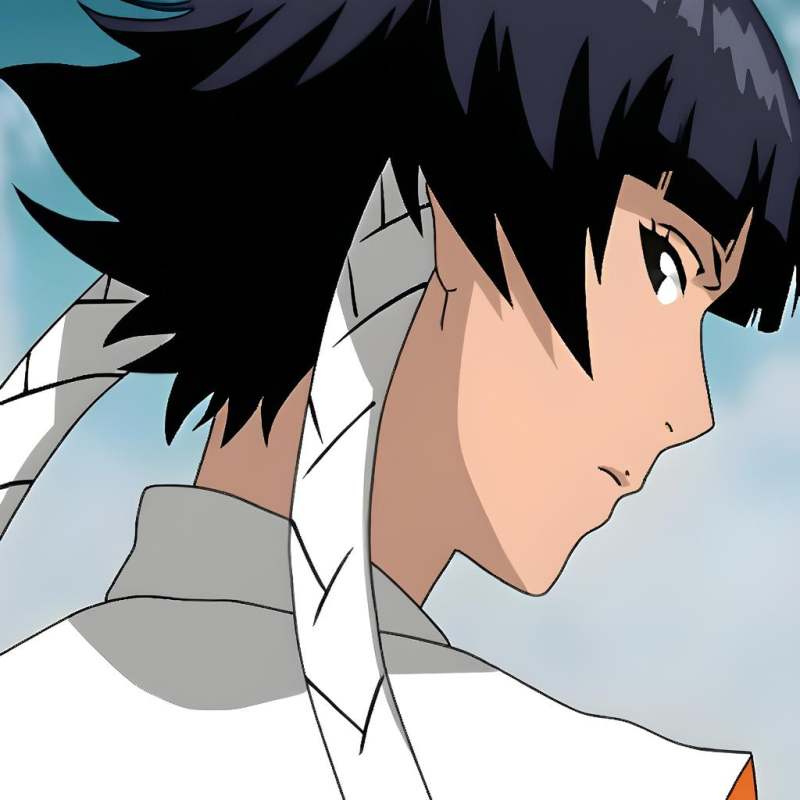 Soi fon