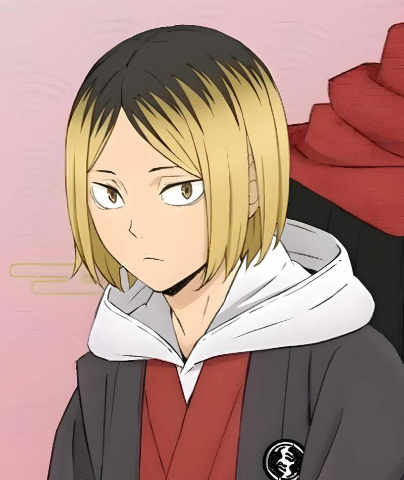 Petit ami paresseux Kenma