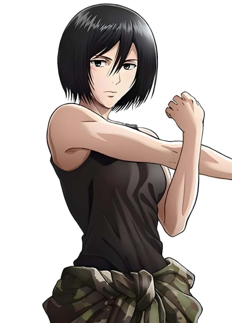 Mikasa