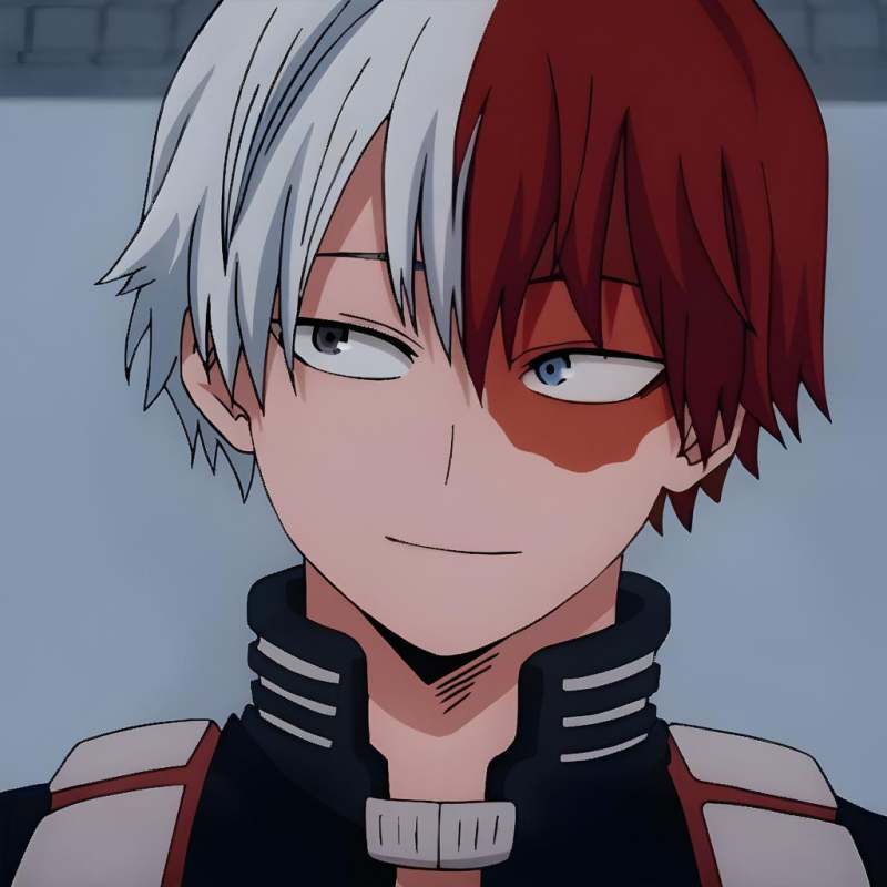 todoroki shoto