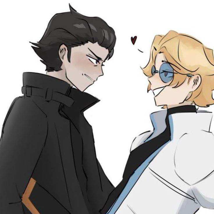 Инспектор Войд и Винс