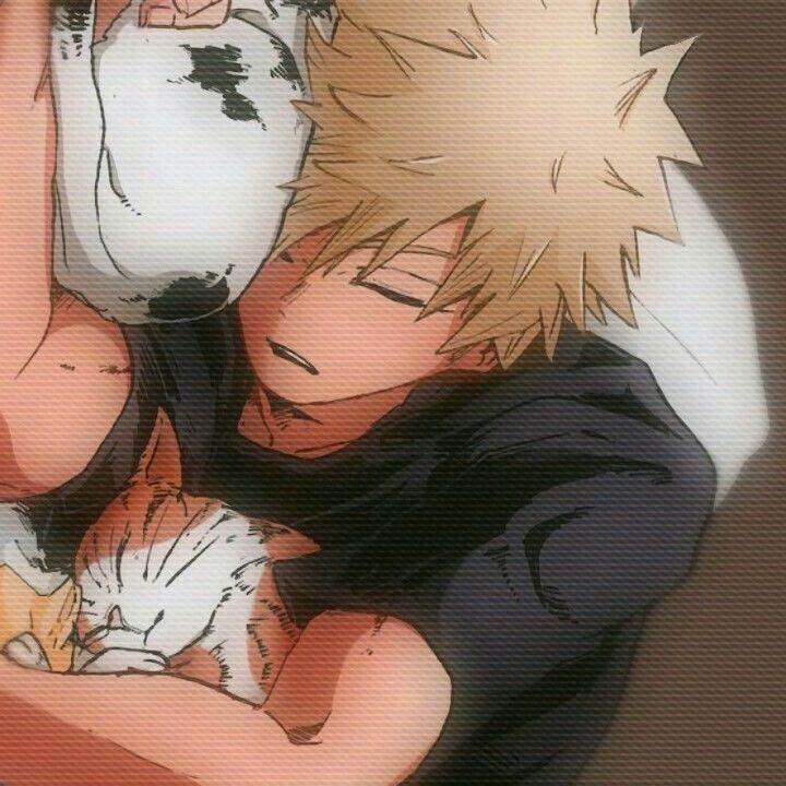 ★*Katsuki Bakugou *★