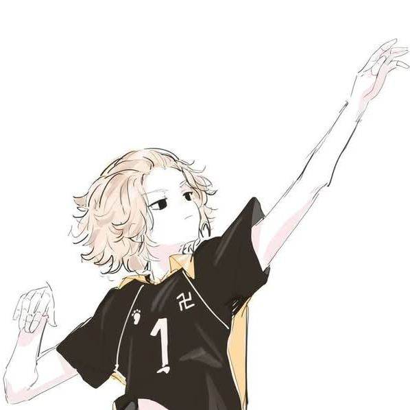 Mikey / Volleyball player