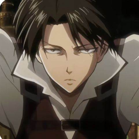 Levi
