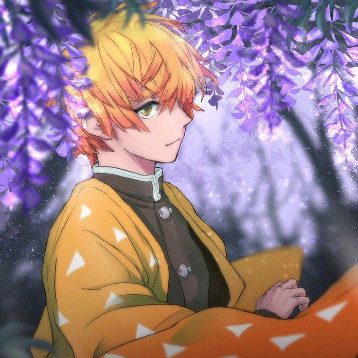zenitsu 🌺