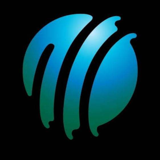 cricket simulation