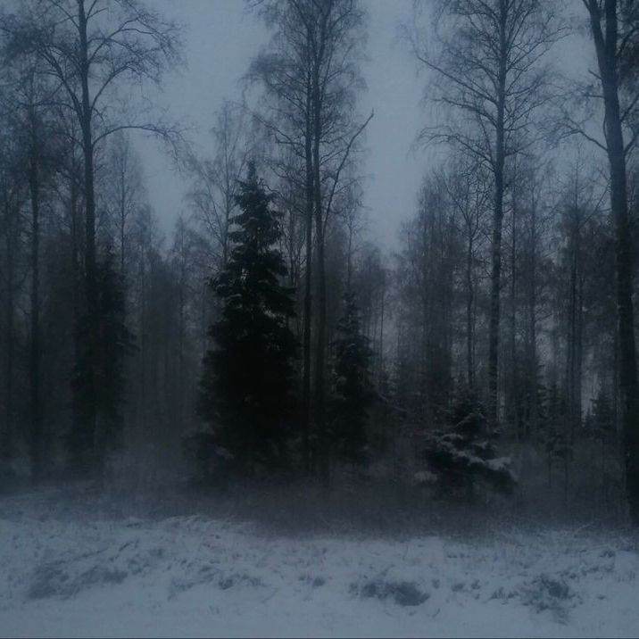 зимняя ночёвка)