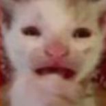 30,00,000-SocialCredit😨