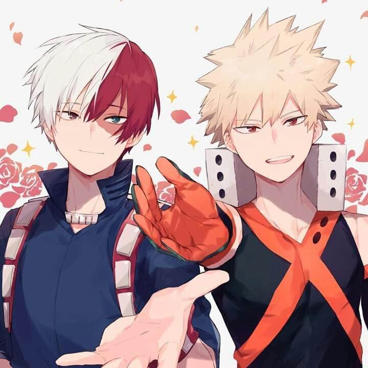 Katsuki & Shouto