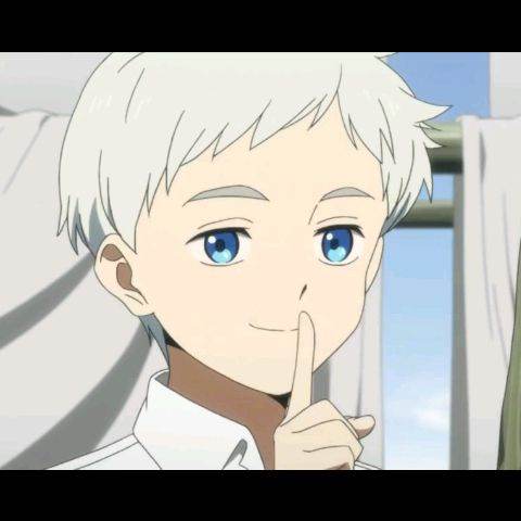 Norman