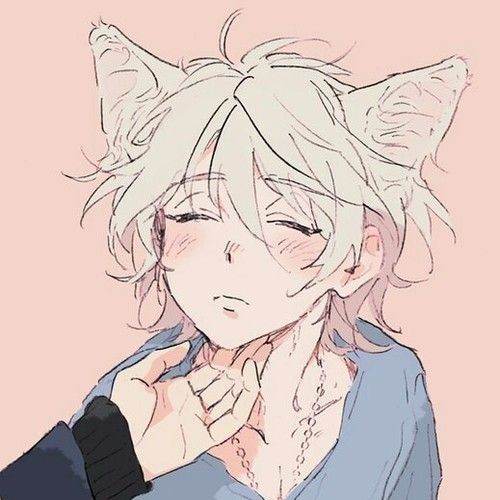 Neko boy - Bliar