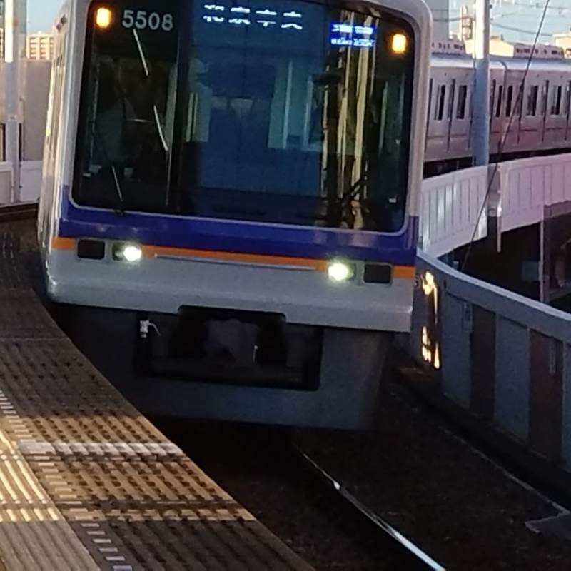 大華君