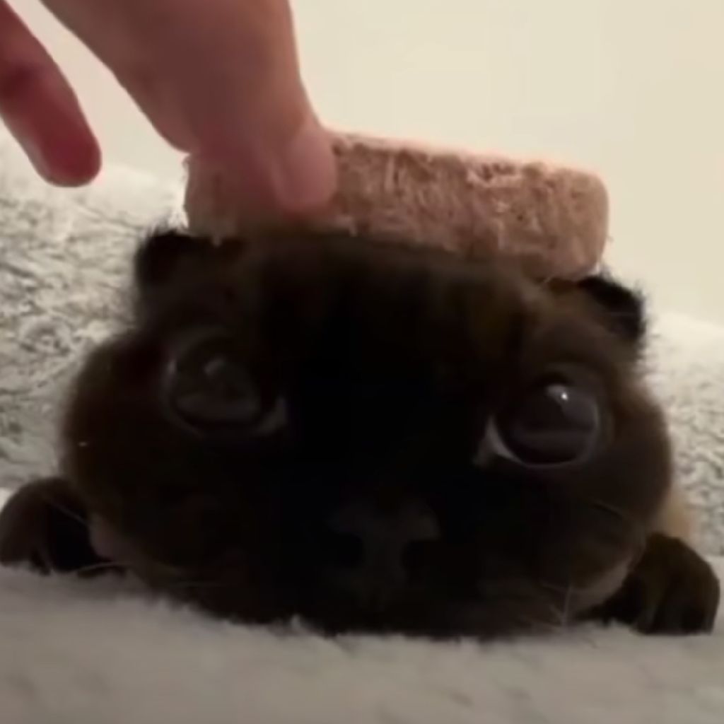 Я ЛЮБЛЮ ПОРНО ИДИТЕ НАХУ