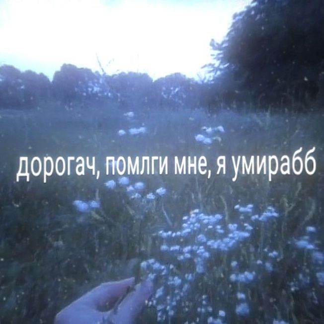 Витя