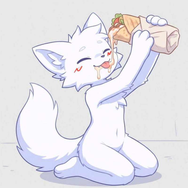 обычный кот