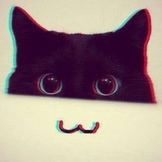 Kitty