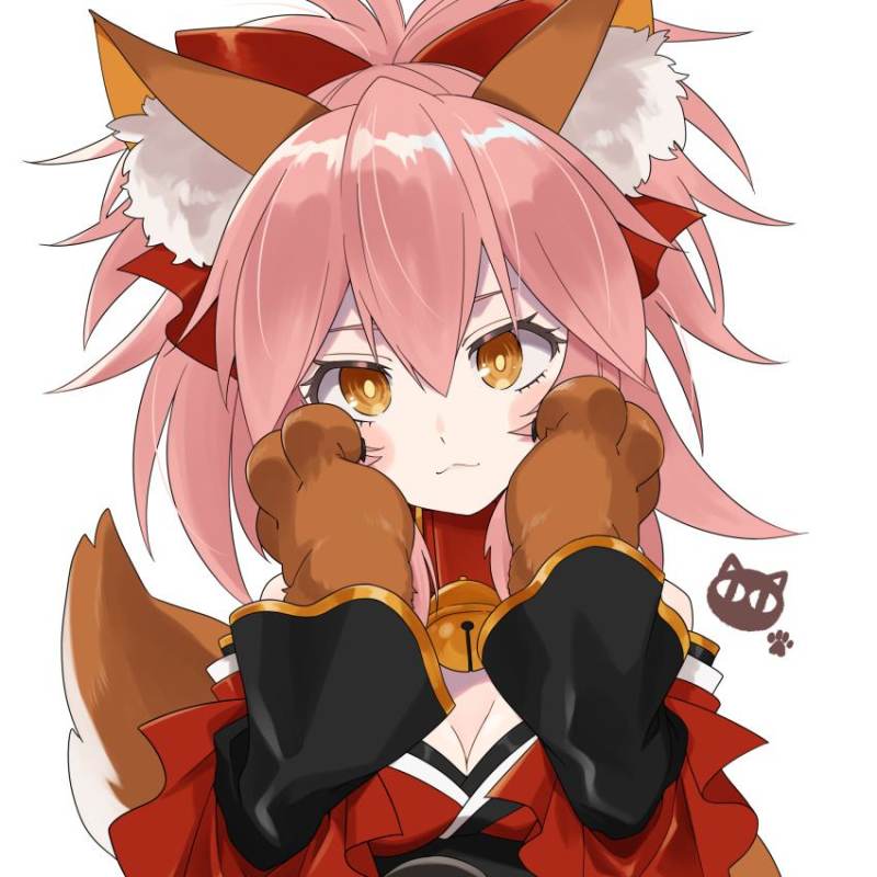 Tamamo Cat