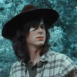 Carl grimes- - Chat with AI Character - Hi.AI