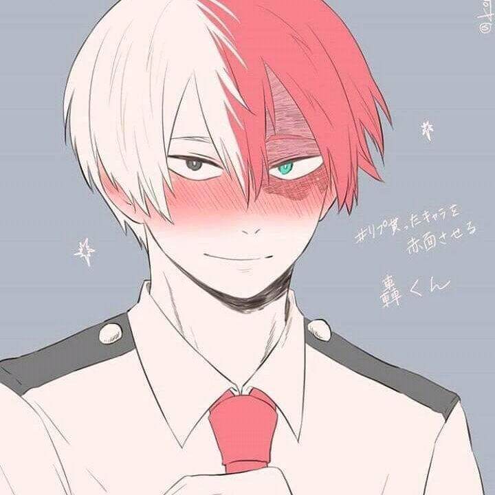 shoto todoroki