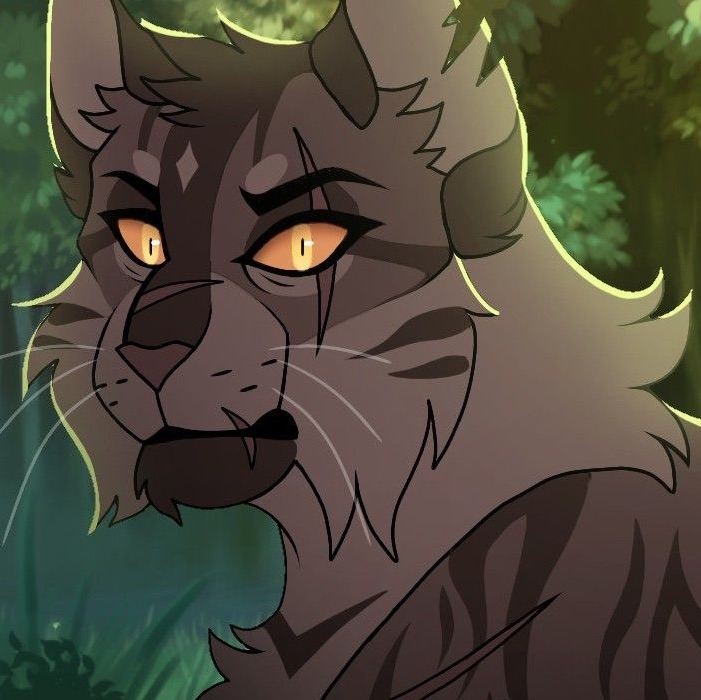 TigerStar