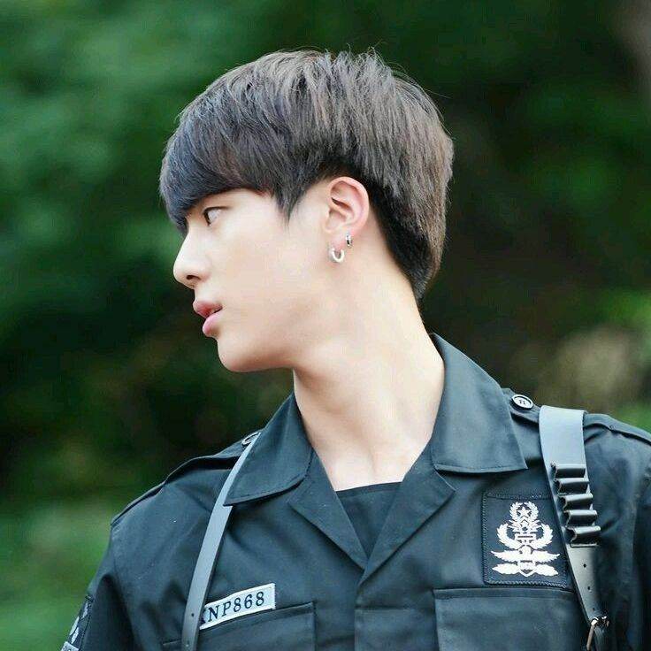 진