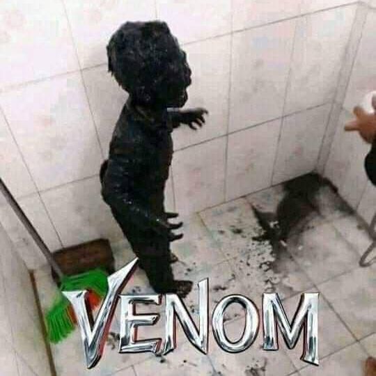 бобр