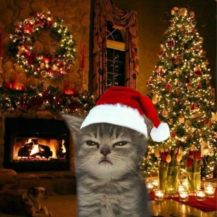 Новогодний подарок