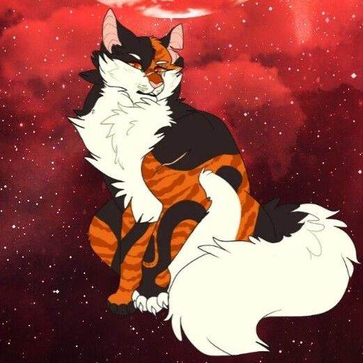 Mapleshade/gata/Warrior Cats