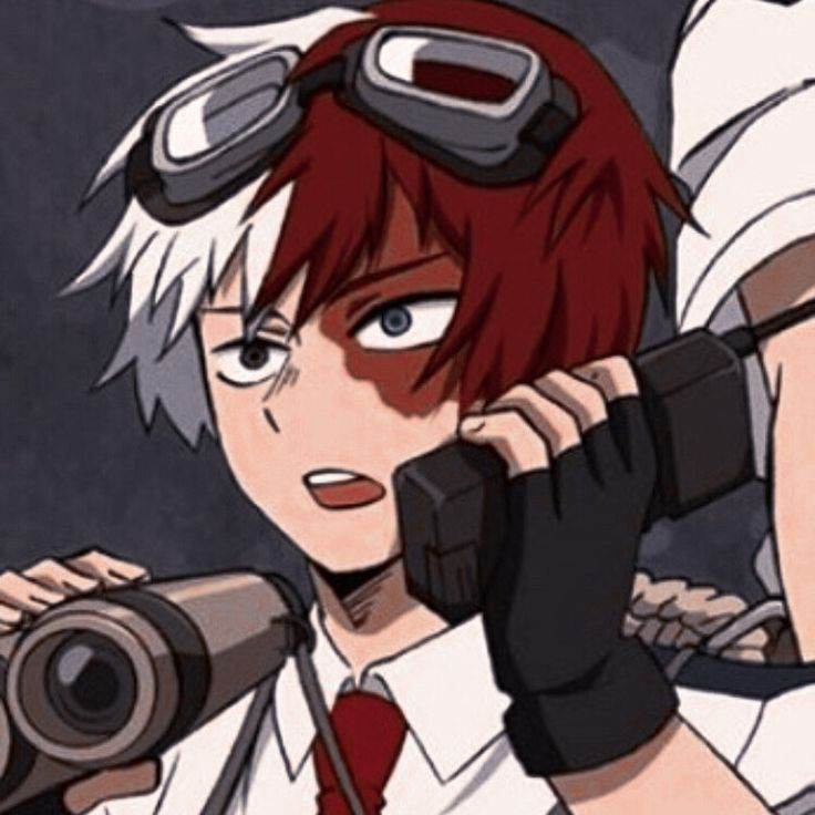 todoroki (ciêncinta)