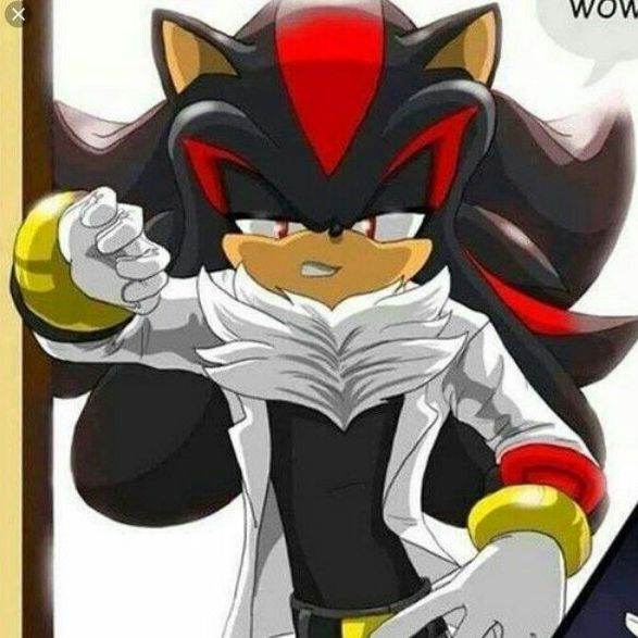 shadow the hedgehog