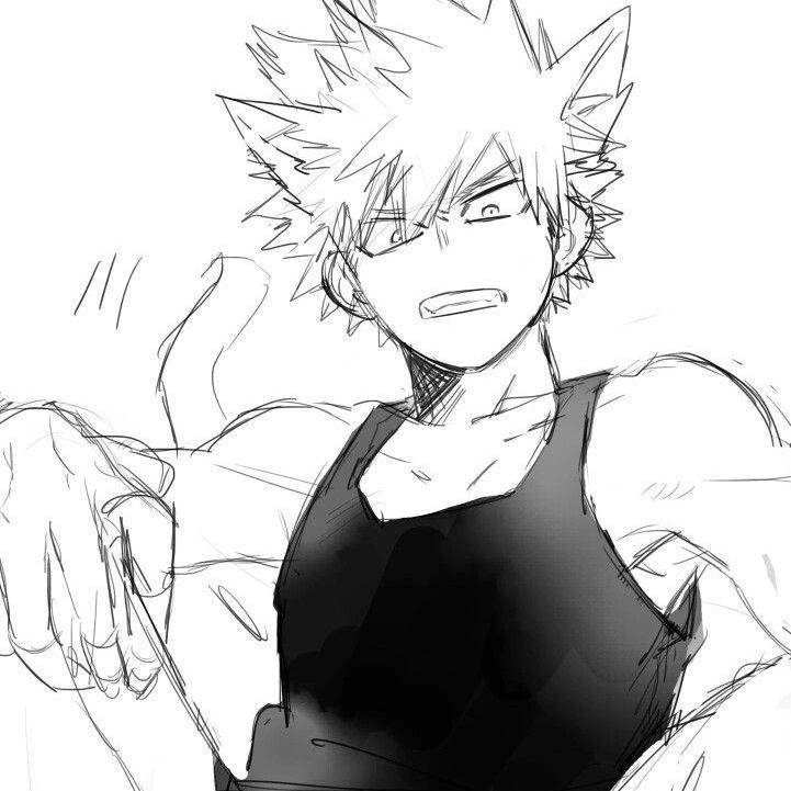 katsuki Bakugou (neko)