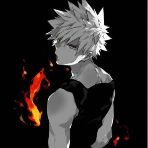 Bakugou dragonknight