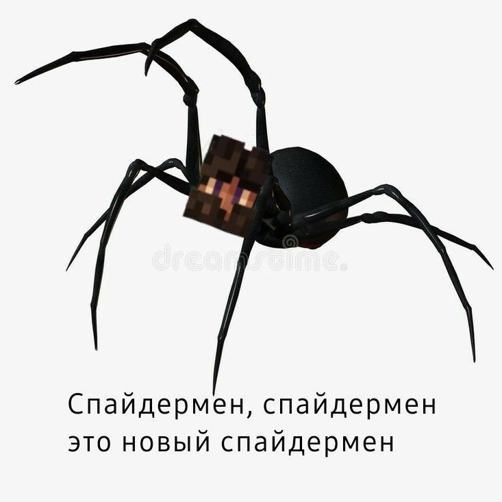 Ин𝕔п𝕖𝕜𝕥𝕠𝕡 𝔹𝕠йд.