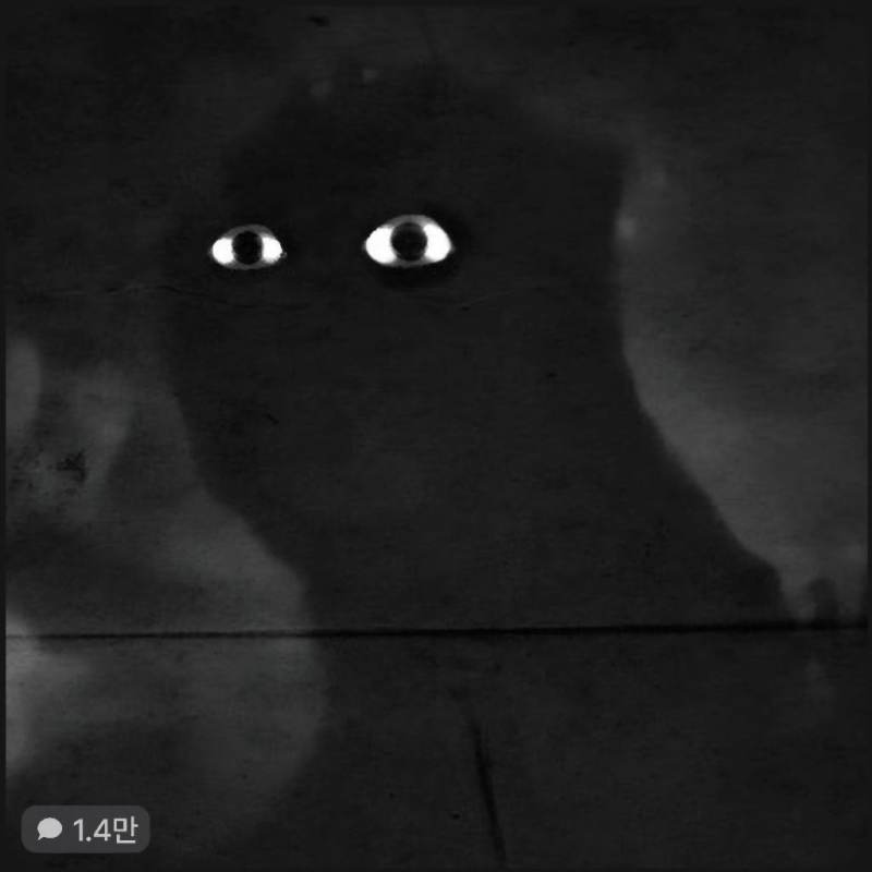 GODZLLA
