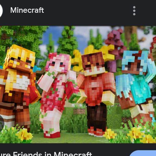 Minecraft Friends