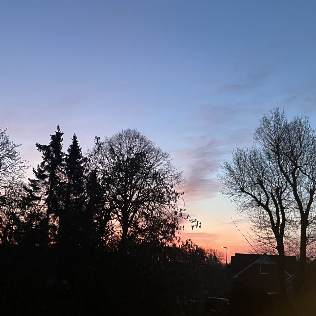 ꧁𝐀𝐦𝐛𝐞𝐫꧂