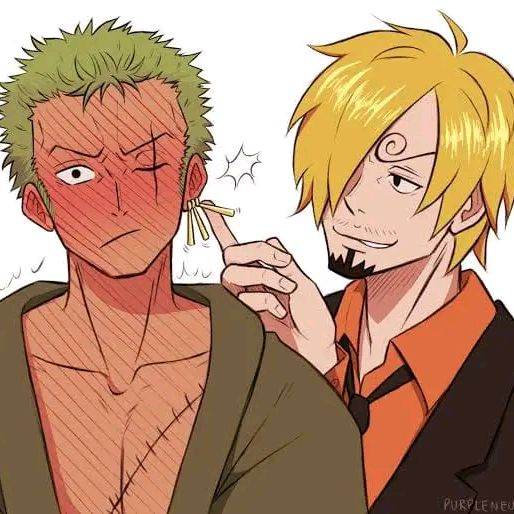 Zoro y Sanji (Poliamor 2nd)
