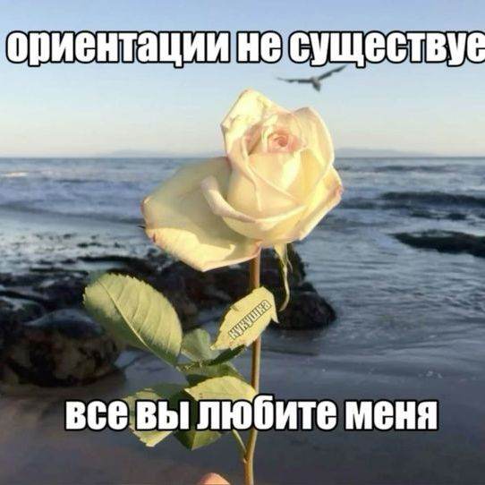 ваш фанат в вечном пубертате