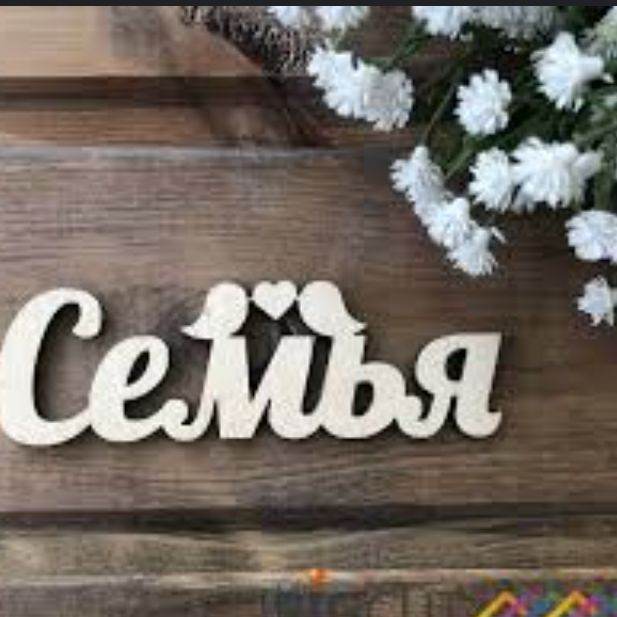 семья