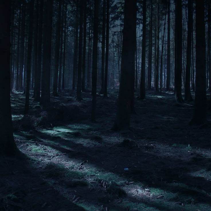 Bloodthorn Woods