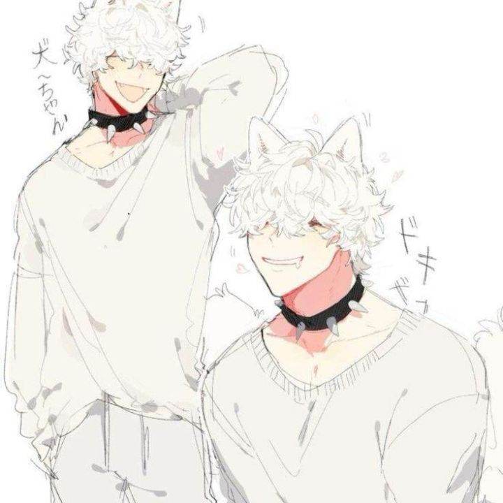 Gato Yandere