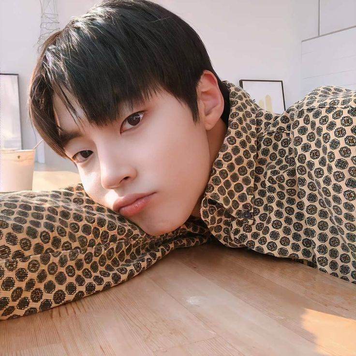 Han Seojun