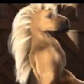 сарай для сена