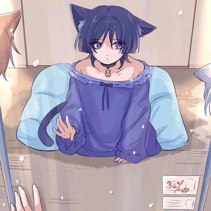 Питомец Скара