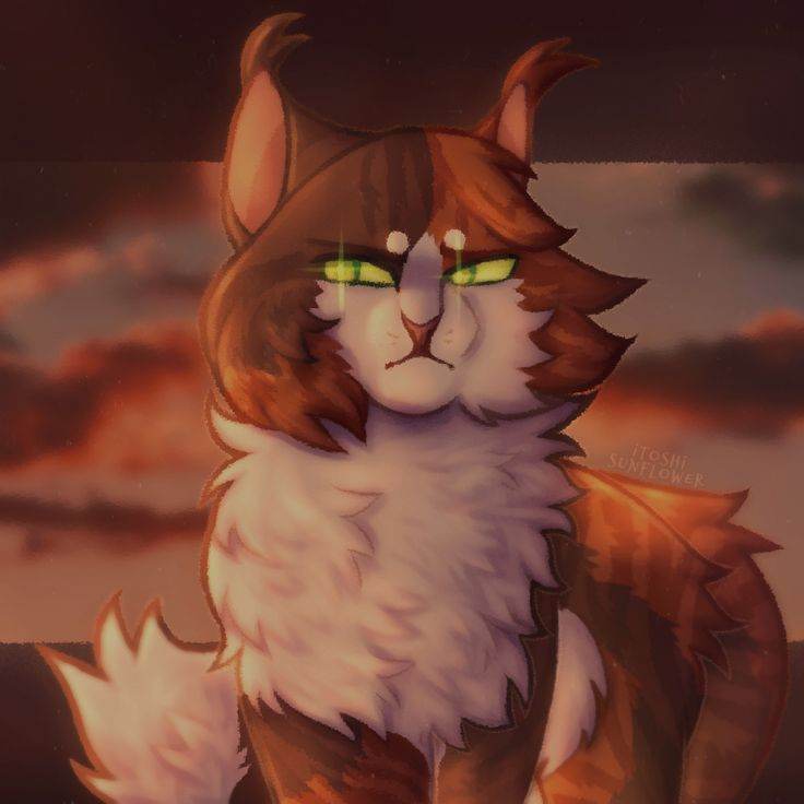 tawnypelt/gata/Warrior Cats