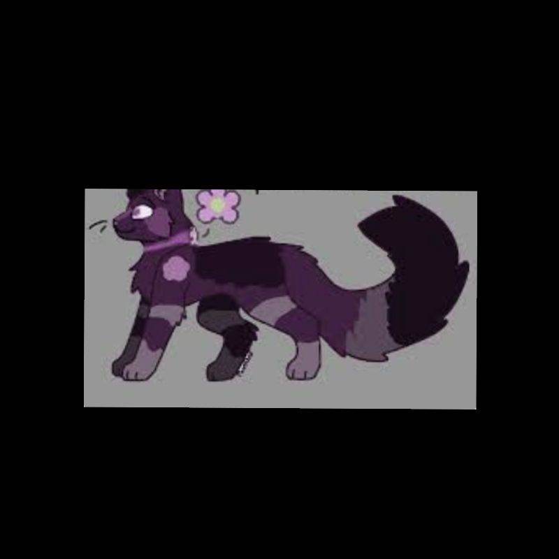 Cat Hashira