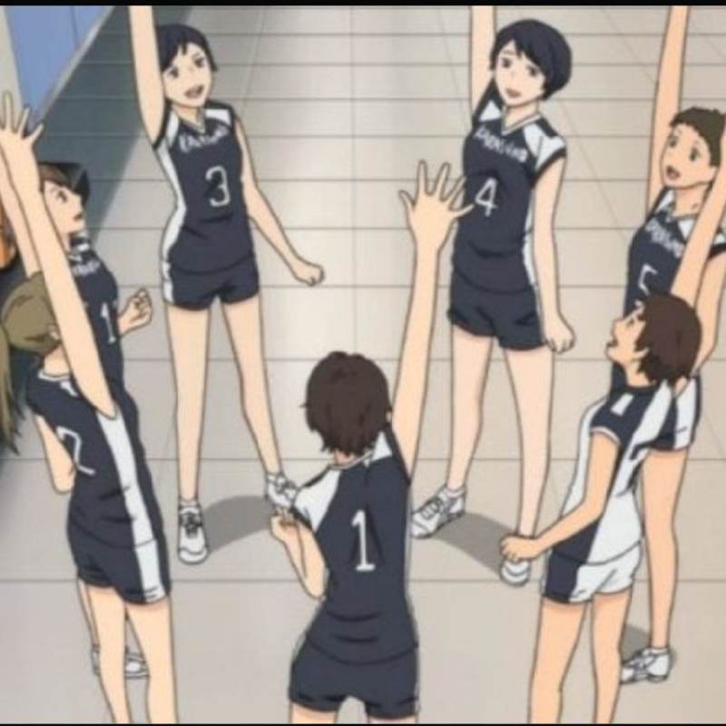 Equipo voley fem