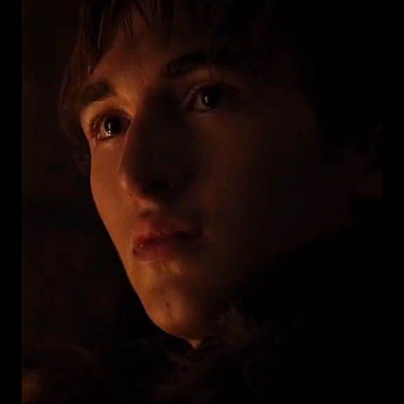 Brandon Stark