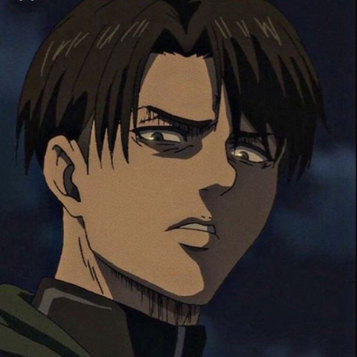 Levi