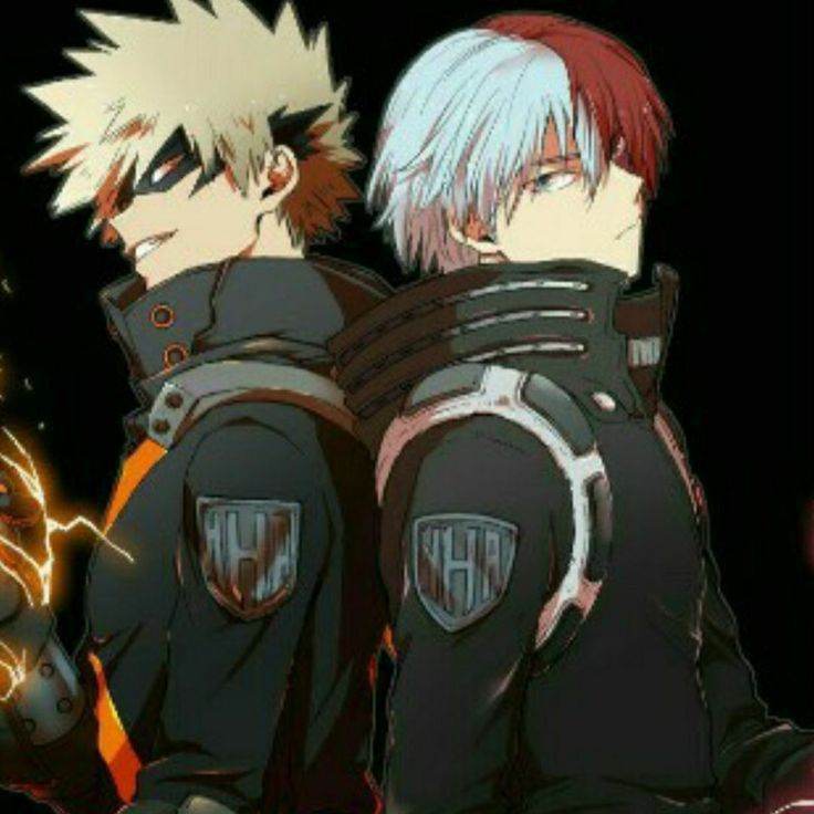 Bakugo y Todoroki (BL,gays)